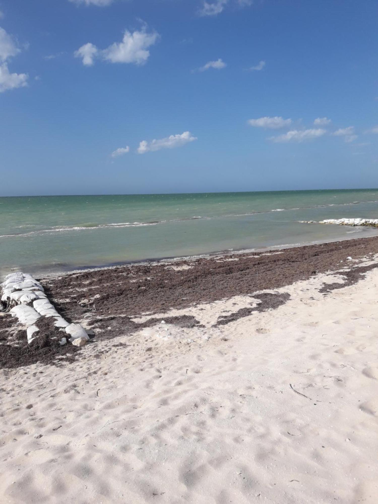 Casa Pepe Vacation Rental Progreso Progreso  Ngoại thất bức ảnh